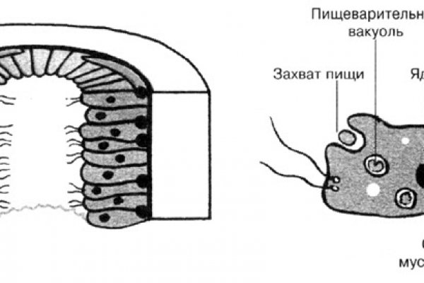 Блэк спрут официальный сайт