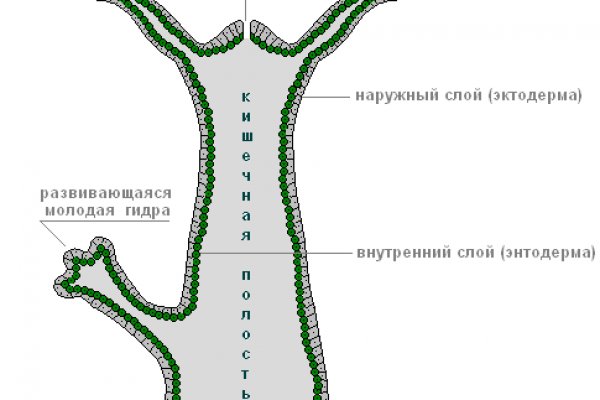 Black sprut зеркало рабочее