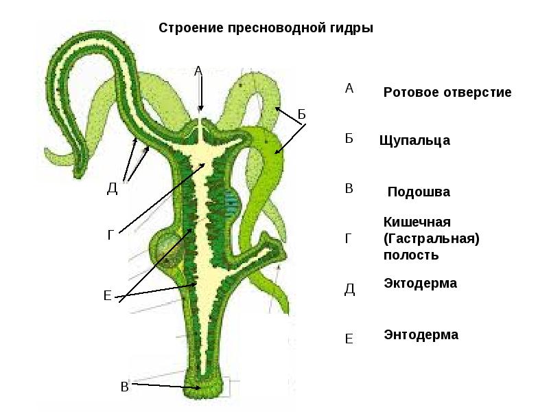 Ссылка блэкспрут 1blacksprut me